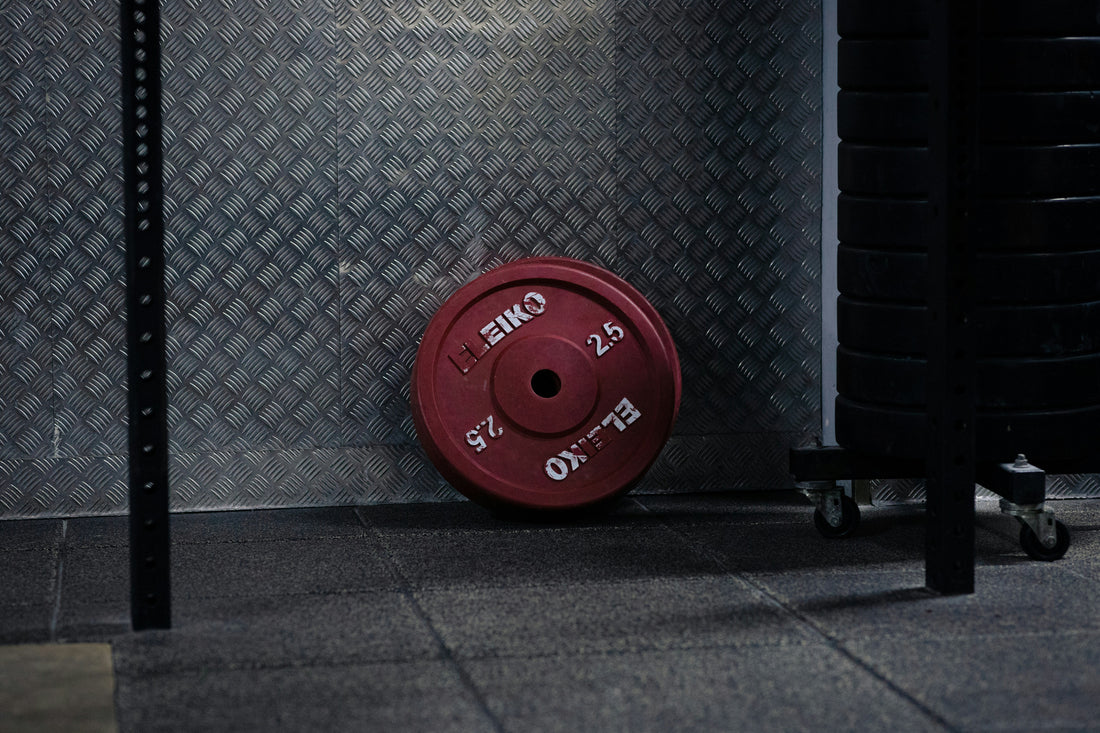 PH Fitness Bumper Plates – Duurzame rubberen bumperplates met gietijzeren kern.