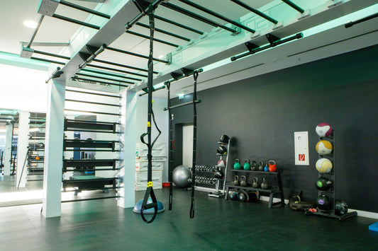 Physionics® Zweedse Wandrekset – Klim- en fitnessstation voor volwassenen en kinderen.
