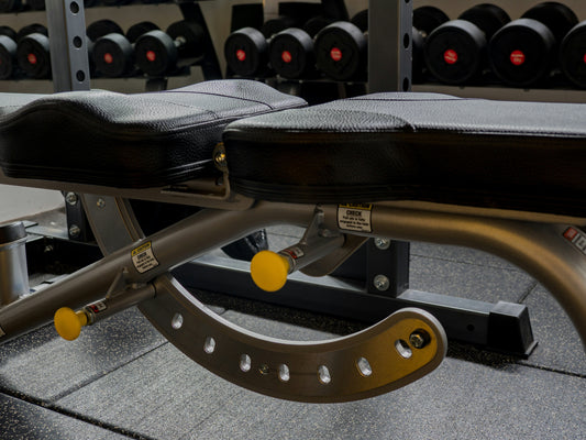 Zipro Inklapbare Trainingsbank – Verstelbare halterbank voor homegym.